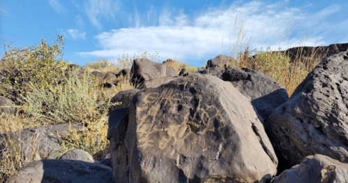 Petroglyphs etched on a large rock amidst a rocky landscape and sparse vegetation under a blue sky.