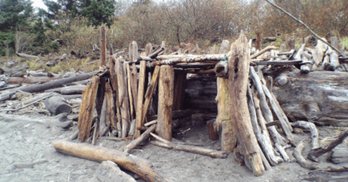 A rustic structure made of logs and branches, set against a natural landscape with trees in the background.