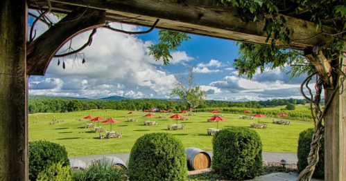A scenic outdoor venue with red umbrellas over picnic tables, surrounded by lush greenery and distant mountains under a blue sky.