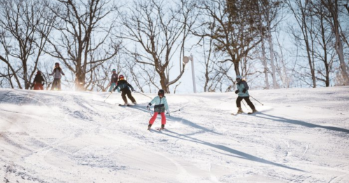 A group of skiers navigating a snowy slope surrounded by bare trees on a sunny day.