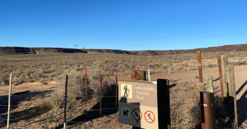 Sign for Rimomada Canyon Trail at a desert landscape with sparse vegetation and distant hills under a clear blue sky.