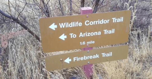 Trail sign indicating directions to Wildlife Corridor Trail, Arizona Trail (1.6 miles), and Firebreak Trail.