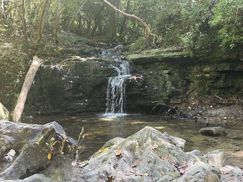 A serene waterfall cascades over rocks into a clear pool, surrounded by lush greenery and trees.