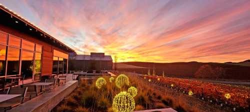 A vibrant sunset over a vineyard, with glowing orbs and modern architecture in the foreground.