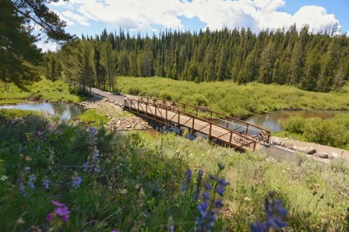 A wooden bridge spans a serene stream, surrounded by lush greenery and wildflowers under a blue sky with clouds.