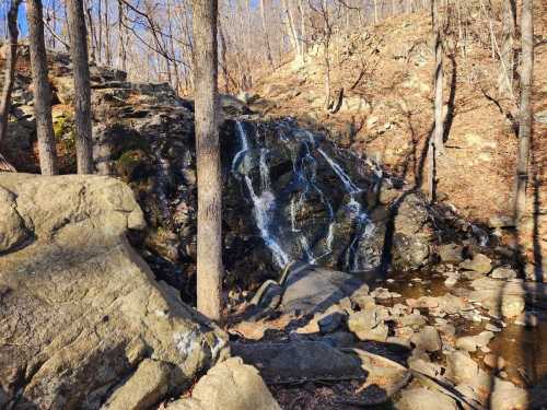 A small waterfall cascades over rocks in a wooded area, surrounded by trees and fallen leaves.