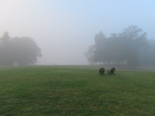 Two empty chairs sit on a grassy field shrouded in thick fog, with trees faintly visible in the background.
