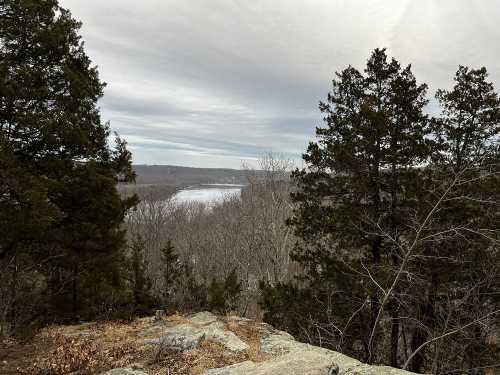 A scenic view of a river surrounded by trees and rocky terrain under a cloudy sky.