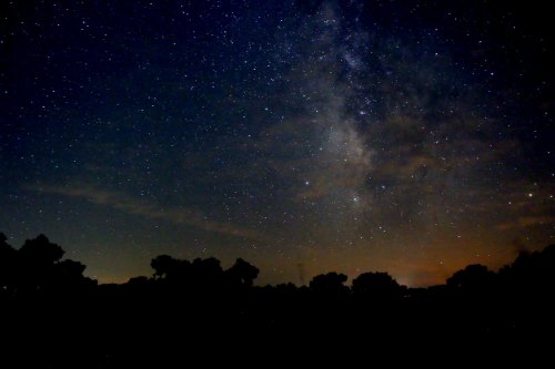 A starry night sky with the Milky Way visible, silhouetted trees in the foreground against a dark blue backdrop.