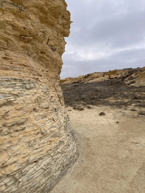A rocky cliff with layered textures, set against a cloudy sky and sparse vegetation in the foreground.