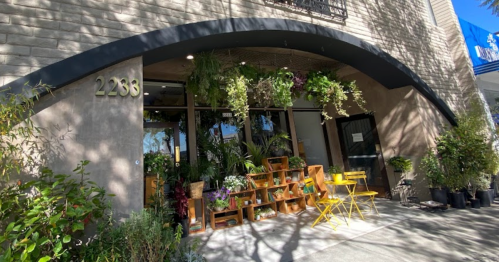 A storefront with an archway, featuring plants and wooden displays, and yellow chairs outside.