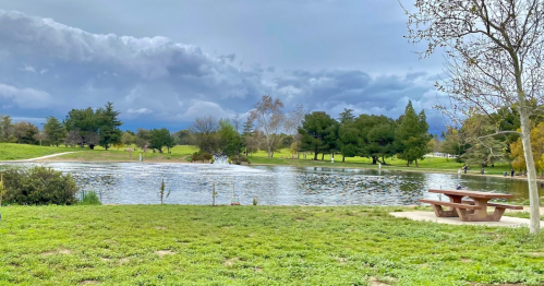 A serene park scene featuring a pond, green grass, trees, and a picnic table under a cloudy sky.