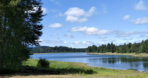 A serene lake surrounded by lush greenery and trees under a blue sky with fluffy clouds.