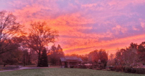 A vibrant sunset paints the sky in pink and orange hues over a park with trees and a small gazebo.
