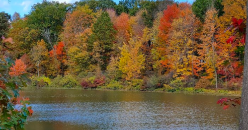 Vibrant autumn foliage reflects on a calm lake, surrounded by trees in shades of red, orange, and yellow.