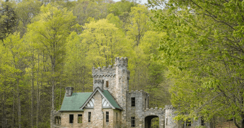An old stone castle surrounded by lush green trees and foliage in a serene natural setting.