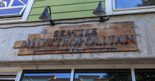 Sign for "Seattle Meowtropolitan" displayed on a wooden board, mounted on a green building exterior.