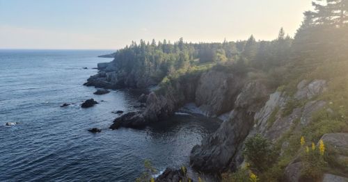 Coastal view of rocky cliffs and trees overlooking a calm ocean under a clear sky.