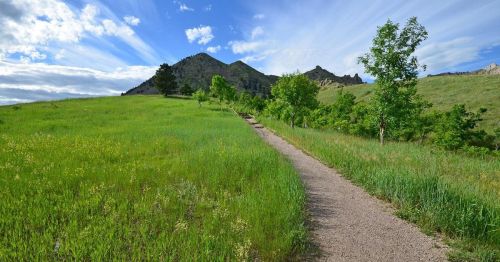 A winding path through lush green grass and trees, leading towards a mountain under a blue sky with wispy clouds.