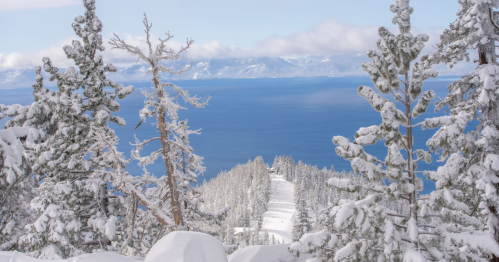 Snow-covered trees frame a serene view of a lake and distant mountains under a clear blue sky.