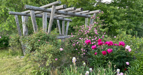 A rustic wooden arbor surrounded by vibrant pink and purple flowers in a lush garden setting.