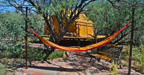 A colorful hammock hangs between trees near a yellow tent and a bench in a serene outdoor setting.
