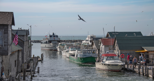 A scenic harbor with boats docked, wooden buildings, and a clear sky, featuring a seagull in flight.
