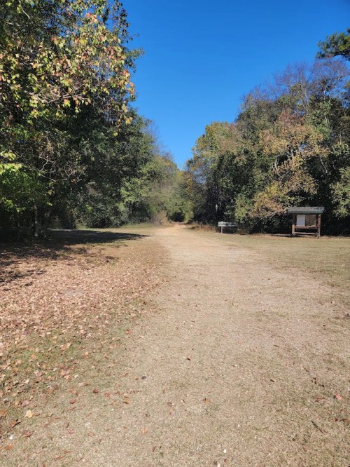 A dirt path lined with trees and foliage under a clear blue sky, with a signpost visible in the distance.