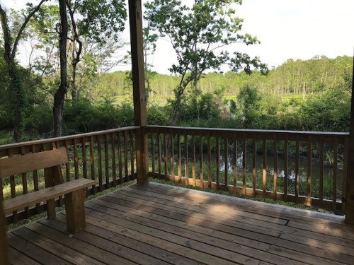 A wooden deck overlooking a serene wetland with lush greenery and trees in the background.
