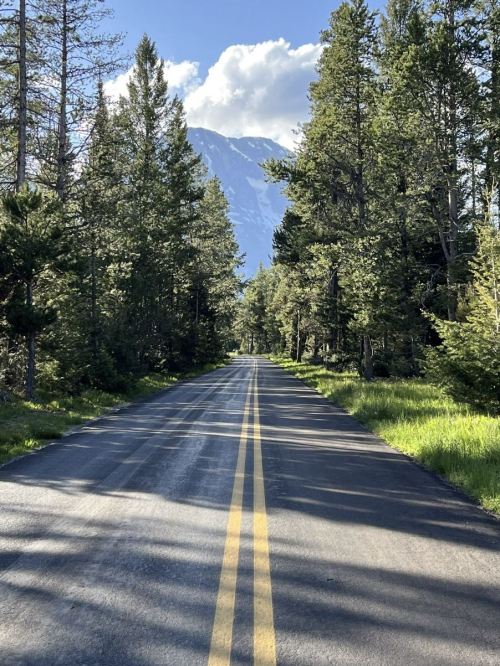 A scenic road lined with trees, leading towards a mountain under a blue sky with fluffy clouds.