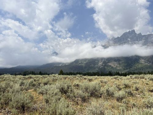 A scenic view of mountains partially covered by clouds, with a foreground of sagebrush and open grassland.