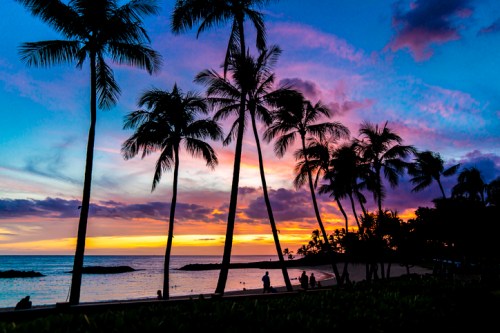 Silhouetted palm trees against a vibrant sunset sky over a calm beach, with people enjoying the scenery.