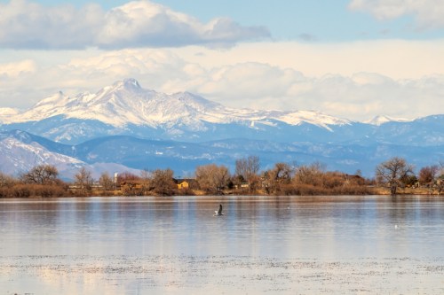 A serene lake reflects snowy mountains under a blue sky, with trees lining the shore and a bird gliding over the water.