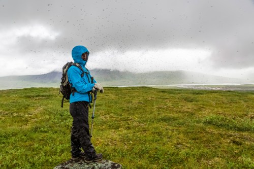 A person in a blue jacket stands on a rock in a grassy landscape, surrounded by swirling insects under a cloudy sky.