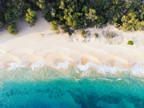 Aerial view of a sandy beach with gentle waves and lush greenery along the shoreline.