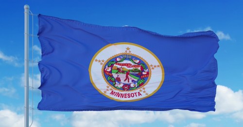 Minnesota state flag waving against a blue sky with clouds, featuring the state seal and a circular design.