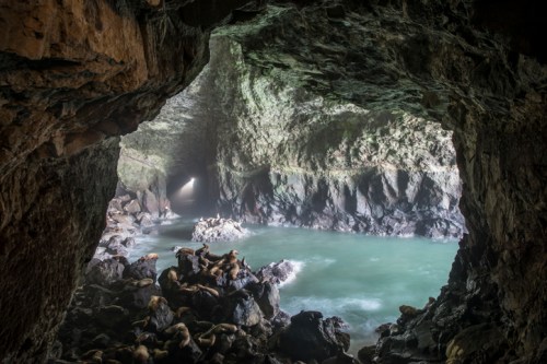 A rocky cave opening reveals a serene water pool and sea lions resting on the rocks inside.