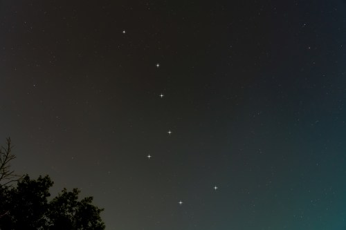 A night sky filled with stars, featuring a prominent constellation arranged in a vertical line above dark silhouettes of trees.
