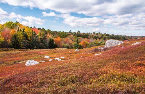 A vibrant landscape featuring rolling hills with colorful autumn foliage and large boulders under a partly cloudy sky.