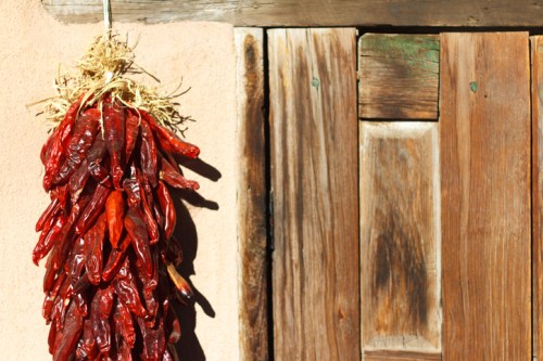 A bundle of red chili peppers hanging against a rustic wooden door.