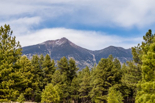 A snow-capped mountain rises above a dense forest of pine trees under a partly cloudy sky.