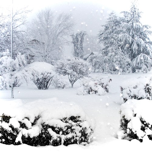 A serene winter landscape covered in fresh snow, with trees and bushes blanketed in white, and gentle snowfall.
