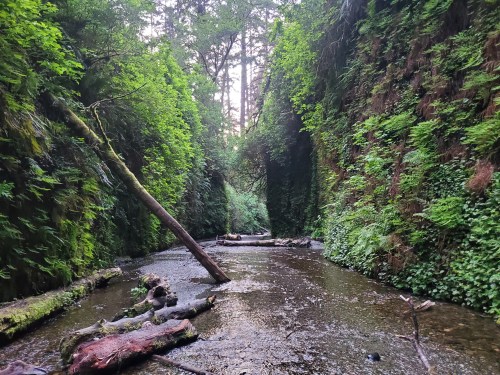 A serene forest scene with a narrow river, surrounded by tall green cliffs and lush vegetation.
