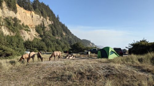 A scenic campsite with a green tent, grazing horses, and a backdrop of cliffs and trees near the coast.