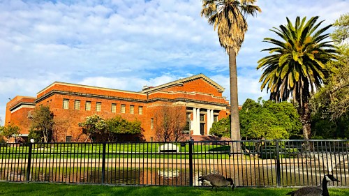 Historic brick building with columns, surrounded by palm trees and greenery, near a pond with geese in the foreground.