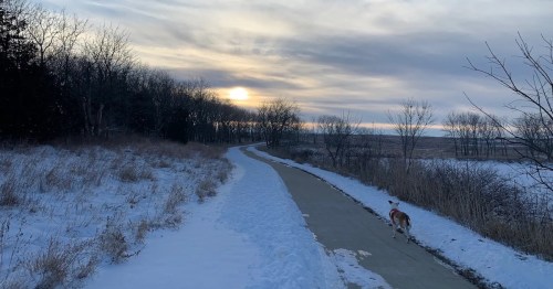 A snowy path winds through a landscape at sunset, with a dog walking along the trail.