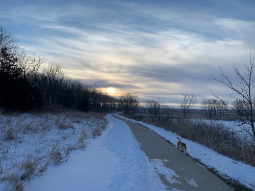 A snowy path winds through trees, with a dog walking towards a cloudy sunset in the background.