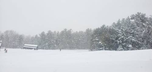 A snowy landscape with falling snow, trees in the background, and a small cabin partially visible.