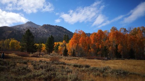 A vibrant autumn landscape with orange and yellow trees, mountains in the background, and a clear blue sky.
