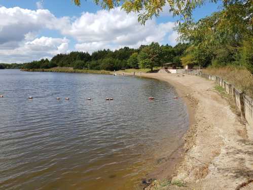 A serene lake with a sandy shore, surrounded by trees and a cloudy sky, with people enjoying the area in the distance.